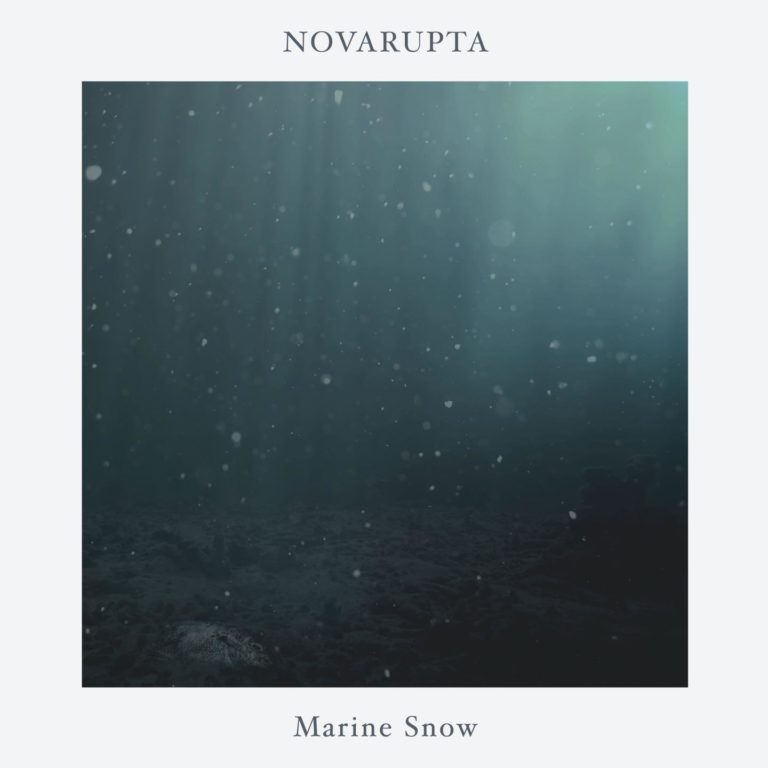 Novarupta – Marine Snow Review