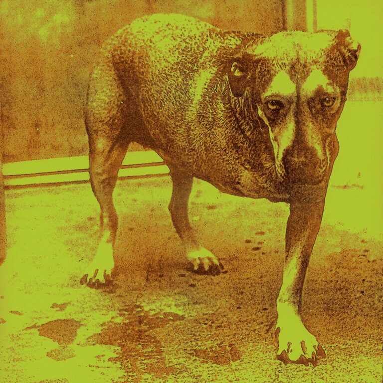 Yer Metal Is OIde: Alice In Chains – Alice In Chains