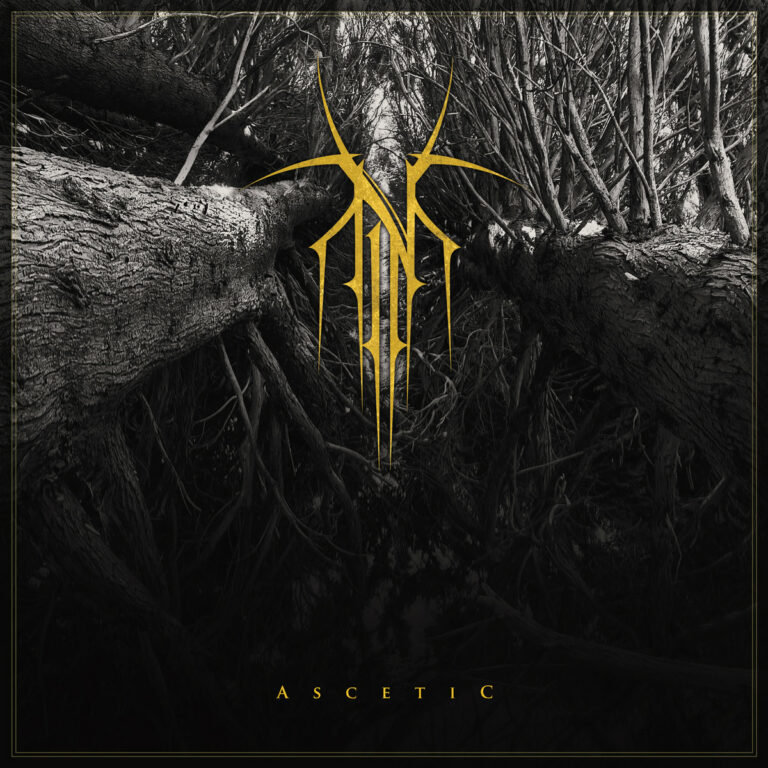 Norse – Ascetic Review