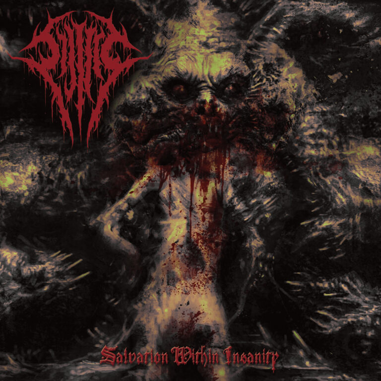 Sijjeel – Salvation Within Insanity Review