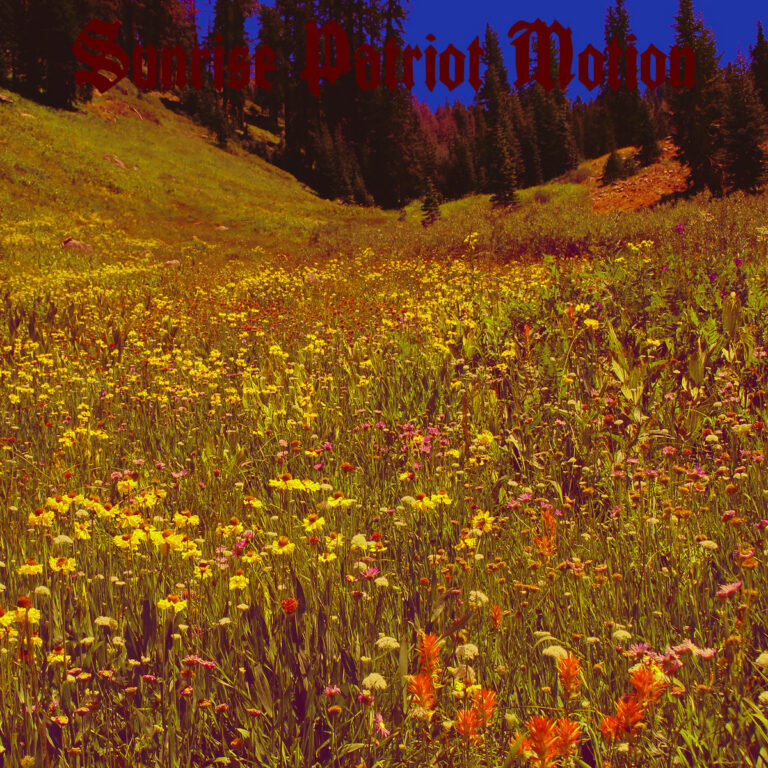 Sunrise Patriot Motion – Black Fellflower Stream [Things You Might Have Missed 2022]