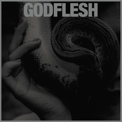 Godflesh – Purge Review